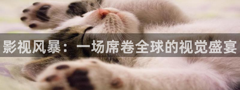 小小影视下载免费：影视风暴：一场席卷全球的视觉盛宴