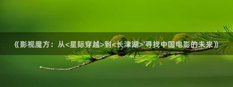 小小影视免费观看在线视频