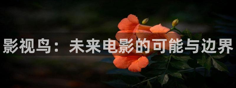 小小影视网