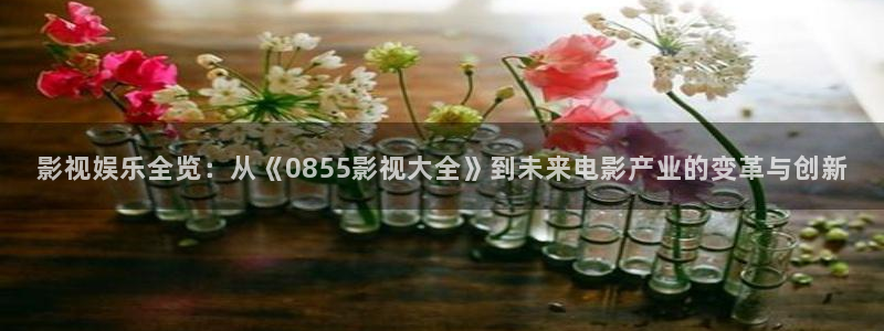 小小影视app官网