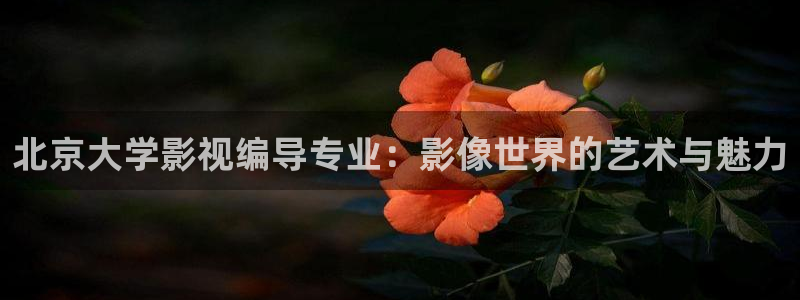 小小影视ios版本下载