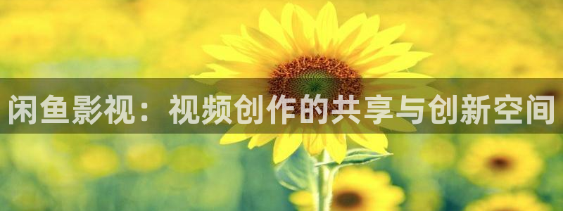 小小影视