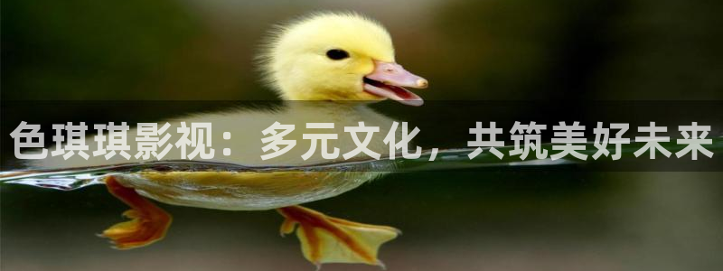 小小影视官网版