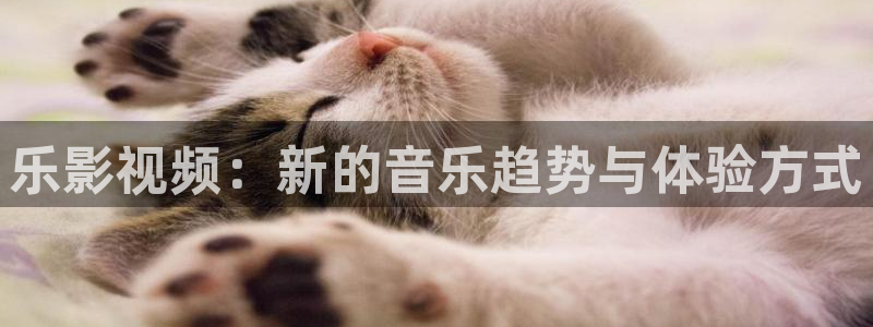 小小影视在线观看影院