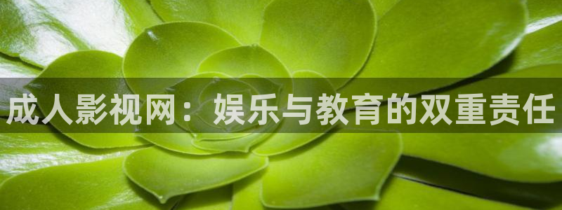 小小影视app大全